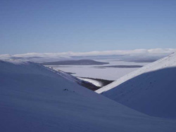        2005 .