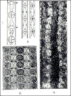 ���� �����������