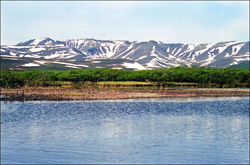       ( ), 2-10  2005 .