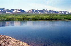       ( ), 2-10  2005 .