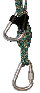     ( 1)