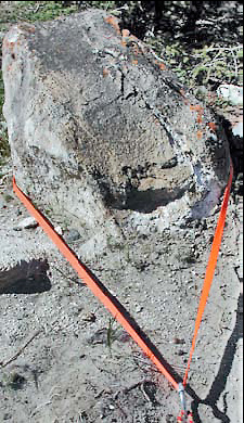     ( 1)