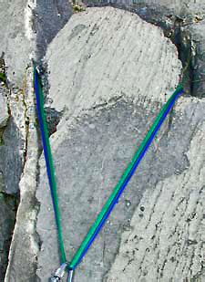     ( 1)
