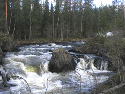 Куржма, Войница, Таванга (Тавайоки)