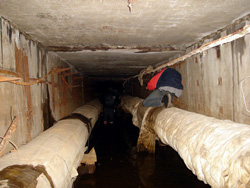 � ���, ��� ������� � ������������� ����� ������