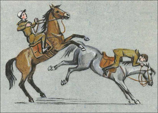 Основные принципы управления лошадью_2