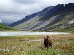 Конная экспедиция по Монголии_2