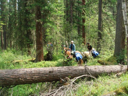 Конная экспедиция по Монголии_2