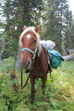 Конная экспедиция по Монголии_2