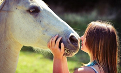 Польза верховой езды