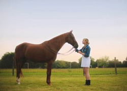 Лошадиные профессии_2