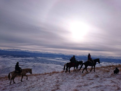 Техника езды по пересеченной местности