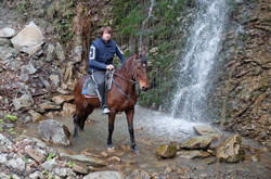 Типичные ошибки при верховой езде