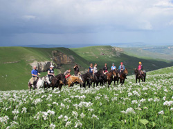 Установление взаимоотношений через общение в табуне