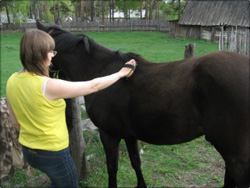 Делаем так, чтобы чистка и седловка нравились лошади