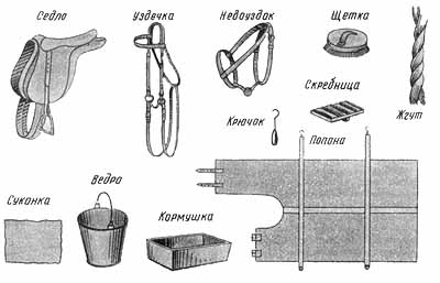 Что нужно знать перед посадкой на лошадь