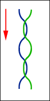       ( 1)