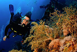 ������� �� ������� ������� ����������� ���������