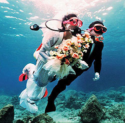 ������� �� ������� ������� ����������� ���������