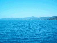 Выживание в морской воде