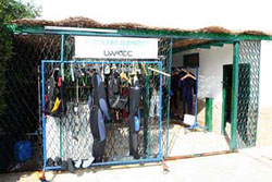 Погружения и дайвинг в Сафаге