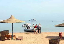 Погружения и дайвинг в Сафаге