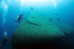 Погружения и дайвинг в Сафаге