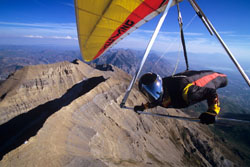 ������  ���������� �� �����������