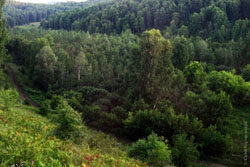 Поселок Солоновка, Алтай