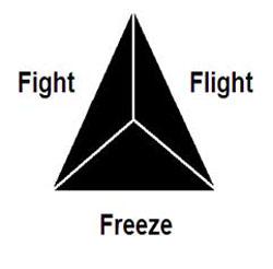Страх vs свобода, психофизиологический аспект