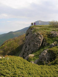 Зарисовки про весеннюю пешеходную Крымскую еденичку (Михайленко Ирина)