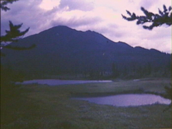   4   , , , , 1993