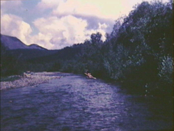   4   , , , , 1993