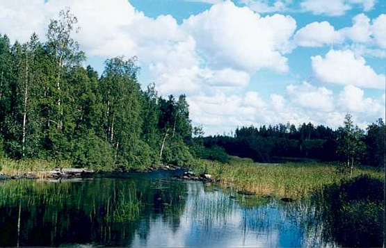 Впечатления о реке Охта, 2001 (Серков Александр)