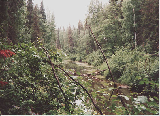 Дневник водного путешествия по реке Яренга (Коми и Архангельская область)