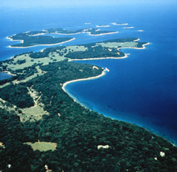 ������������ �� ���� �� ������, 2010 ���