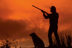 Стрельба по птице весной