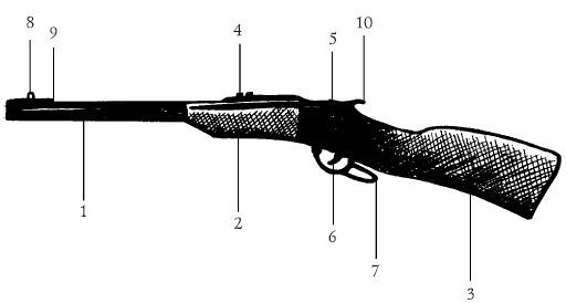 ���������� ����������� ����