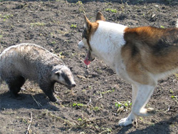 ����� �� ������� � �������