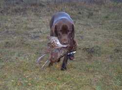 ��� ��� ��������� �������� ������ � ������