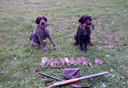 ����� �� ��������� � ������� �������