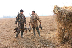 ����� �� ����� �� �����