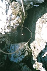  .  . 2004.  .