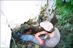  .  . 2004.  .