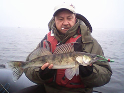 ����������� ������