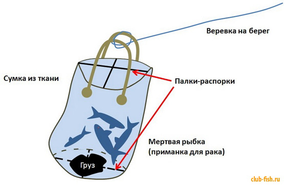 Как я ловил раков