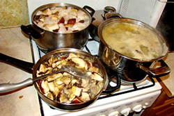 Советы по переработке грибов