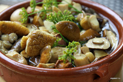 ������������ ����� (������ 3)