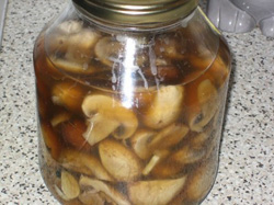 ������������ ����� (������ 4)