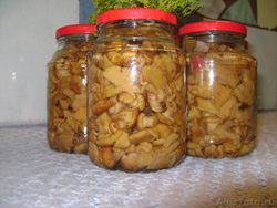 ������������ �������